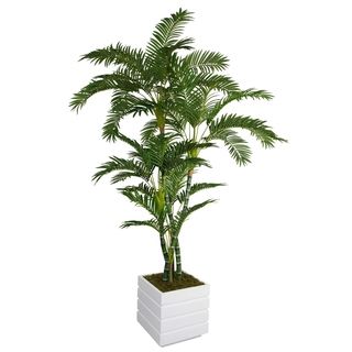 Laura Ashley 78 inch Tall Palm Tree And 14 inch Fiberstone Planter