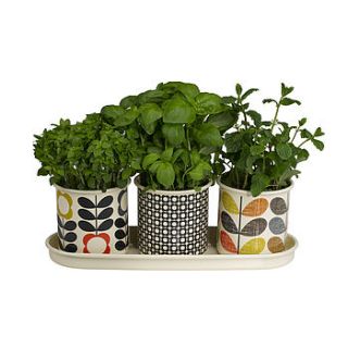 patterned herb pots by i love retro