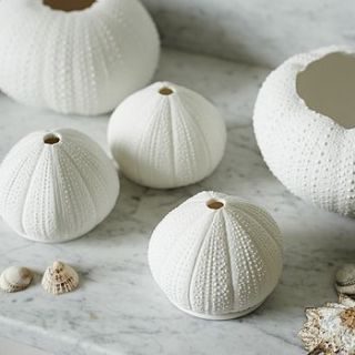 porcelain sea urchin tea lights by brush64