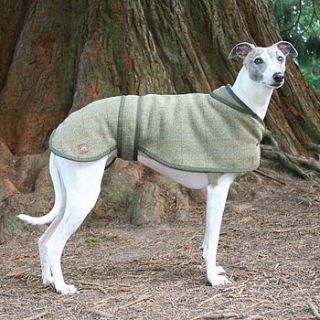whippet dog coat by country and twee