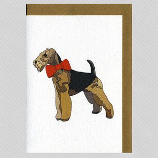 illustrated airedale blank card by illustrated cards