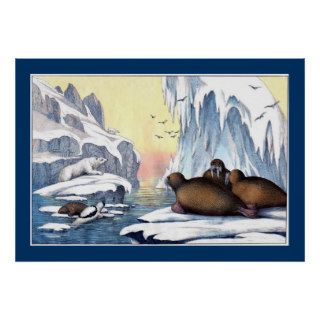 Polar Bears, Walrus, And Seals Poster