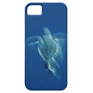 Michoacan State, Mexico. iPhone 5 Cases