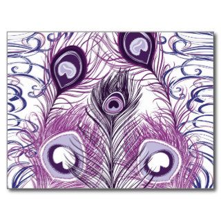 Elegant Pretty Purple Peacock Feathers Design Post Cards