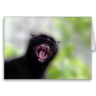 Black Cat Yawning Greeting Card