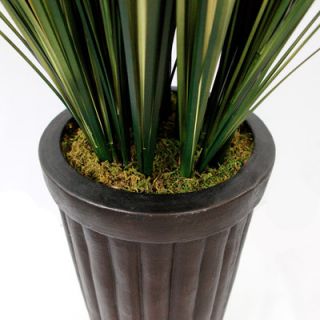 Laura Ashley Home Realistic Grass in Decorative Vase