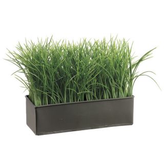 Grass in Rectangular Metal Planter