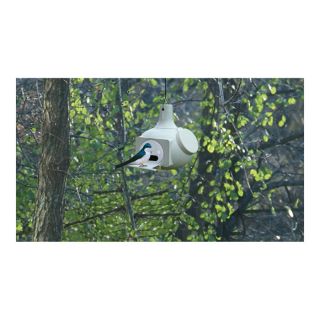 S & K Multigourd Birdhouse, Model# BO9  Bird Baths   Houses