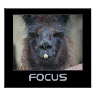 Focus Motivational Poster Intense Llama