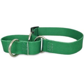 Solid Kelly Green Martingale Dog Collar  Pet Leash Collar And Harness Supplies 
