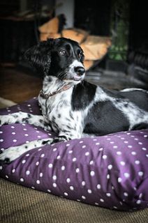 personalised pet cushion by pins and ribbons