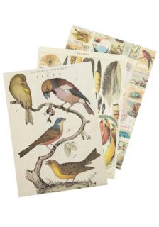 Remains to Be Scene Paper Set in Aviary  Mod Retro Vintage Wall Decor
