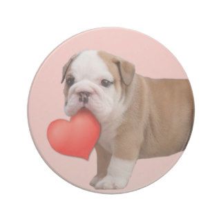 Valentine's bulldog puppy coaster