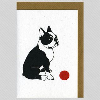 illustrated boston terrier blank card by illustrated cards
