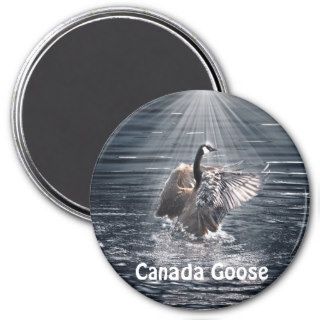 Canada Goose Bathing in a Lake Art Design Fridge Magnet