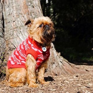 mr digby loves bacon knitted dog jumper by willieratbag