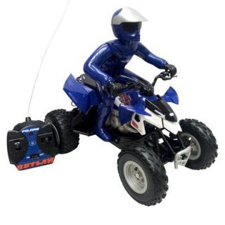 Ignite Remote Controlled ATV & Rider