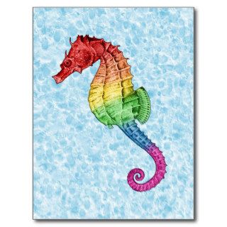 Rainbow Seahorse Post Card