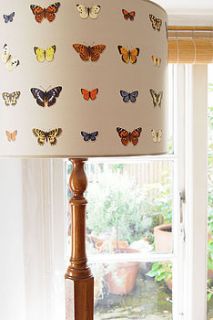 handmade butterfly drum lampshade by daniel croyle