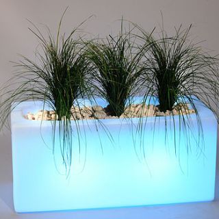 outdoor planter light by jusi colour