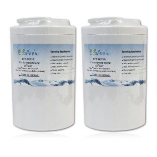 EcoAqua EFF 6013A Refrigerator Water Filter Cartridge, 2 Pack