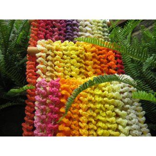 Hawaiian Lei in Crochet Roberta Wong 0089279242557 Books