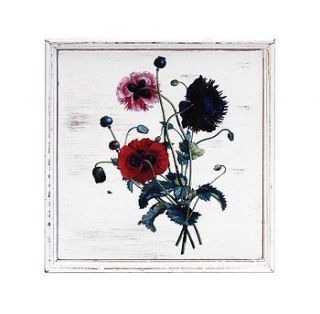 poppies botanical wooden wall art by redpaperstar
