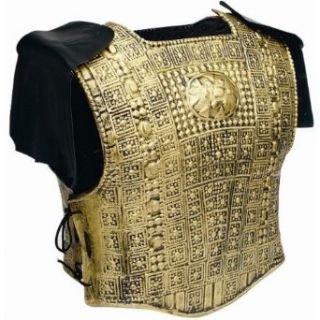21998 2 Piece Gold Armor Set W 2 Shoulder Fringes, Adult Adult Sized Costumes Clothing