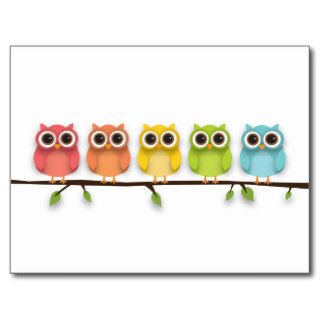 5 Rainbow Owls Sitting on a Branch Post Cards
