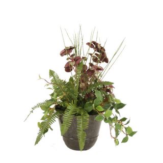 Distinctive Designs Waterlook Vanda Orchid with Plant in Cylinder Vase