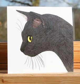 cat collection 'sooty' greeting card by bird