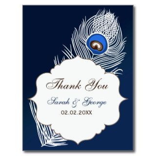 Elegant white and blue peacock Thank You Post Cards