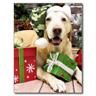 Christmas   Labrador   Jackson Post Cards