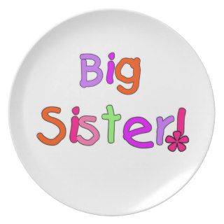 Big Sister Gifts Party Plate