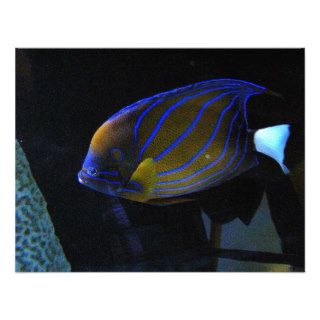Colorful Fish Personalized Invitation