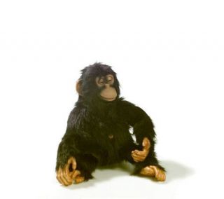 Interactive Kobi Oki Talking and Moving Monkey —
