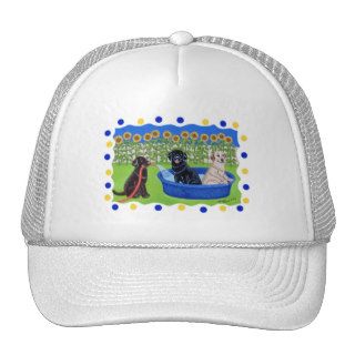 Funny Pool Party Labradors Hat
