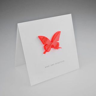 magnetic butterfly gift card by hupa lupa