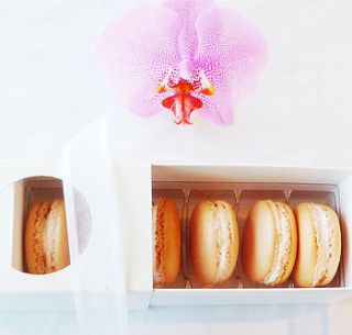 box of six champagne french macarons by meringues & more
