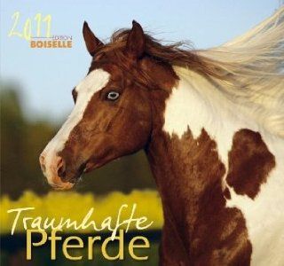 Pferd 2011 Foto   und Notizkalender Gabriele Boiselle Bücher