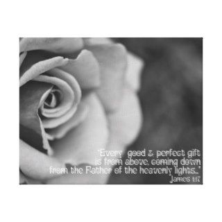 Black & White Rose on Canvas Scripture James 117 Gallery Wrapped Canvas
