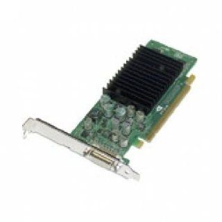 NVIDIA Quadro NVS 290   Graphics adapter   Quadro NVS 290   PCI Express x16   256 MB DDR2   DVI Computers & Accessories