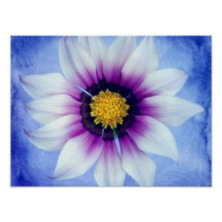 White & Purple Daisy on Blue Background Customized Poster