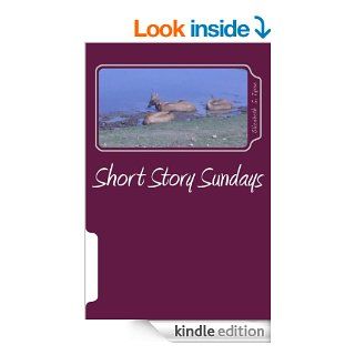 Short Story Sundays (The Short Story Supposition) eBook Elizabeth Tyree Kindle Store