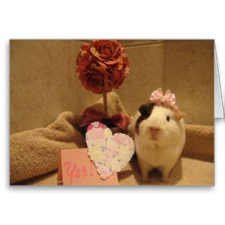 Sweetie's Valentine Greeting Cards