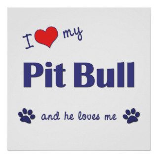 I Love My Pit Bull (Male Dog) Poster