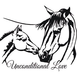 Horses Unconditional Love Vinyl Wall Art Quote