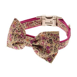 paisley bow tie dog collar by mrs bow tie