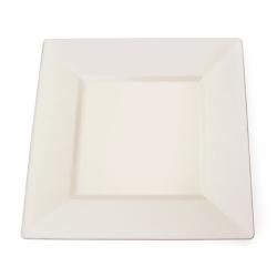 Silver Edge Square Plastic 9.5 inch Plates (set Of 10)
