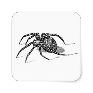 Vintage 1800s Spider Illustration Spiders Template Stickers